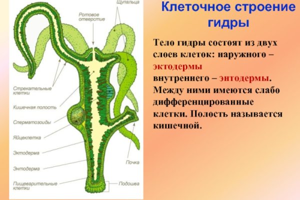 Площадки в даркнете