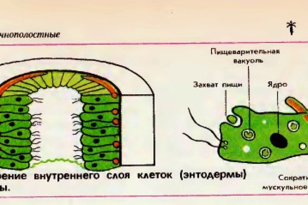 Кракен через браузер