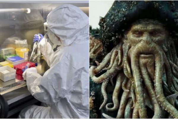 Kraken дарк магазин