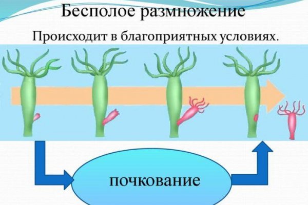 Как восстановить аккаунт на кракене даркнет